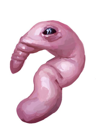 Self portrait Absolutely vile animal that looks like an abortion. Hairless and helpless and useless and limbless.